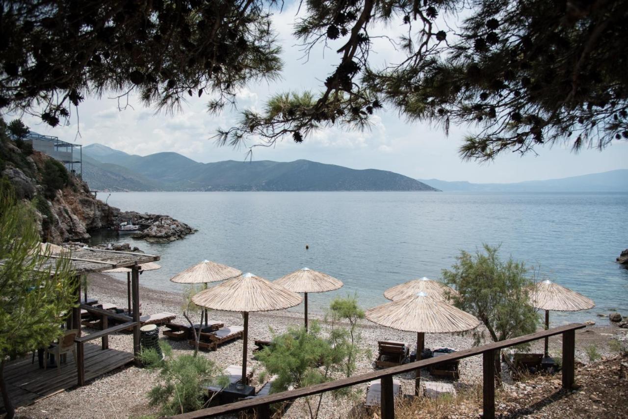 Appartement Agrilia Koromili Retreat à Paralia Livadostratas Extérieur photo